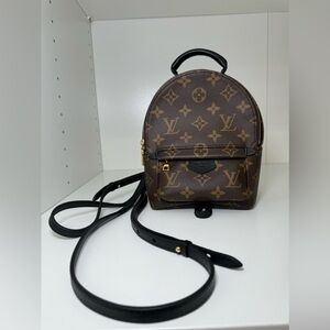 Louis Vuitton Palm Springs Mini Backpack